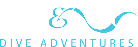 Fly & Sea Dive Footer Logo